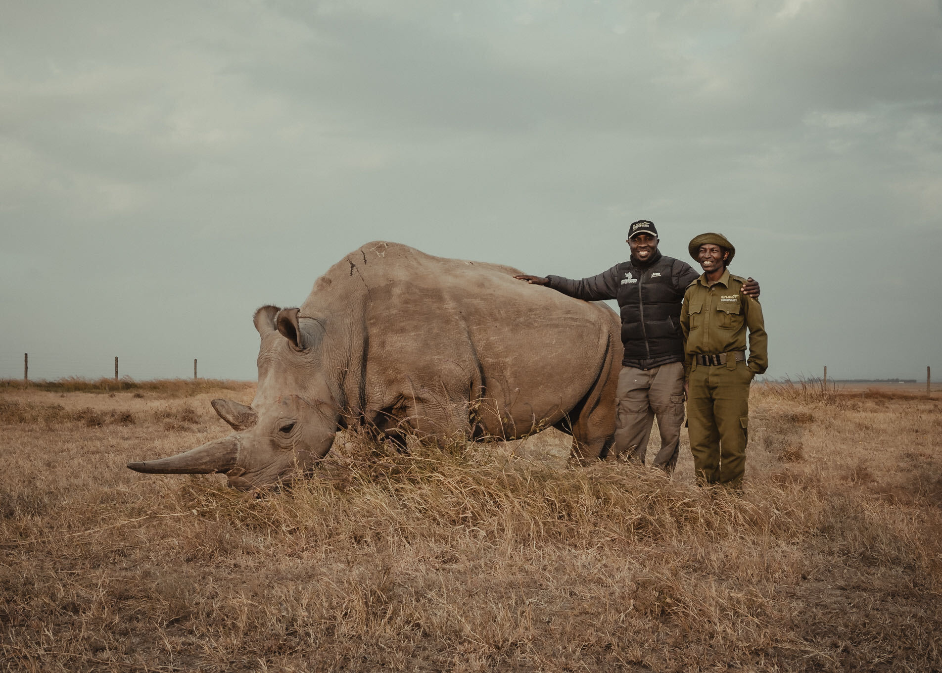 One of the last northern white rhinos on earth, under armed protection at Ol Pejeta