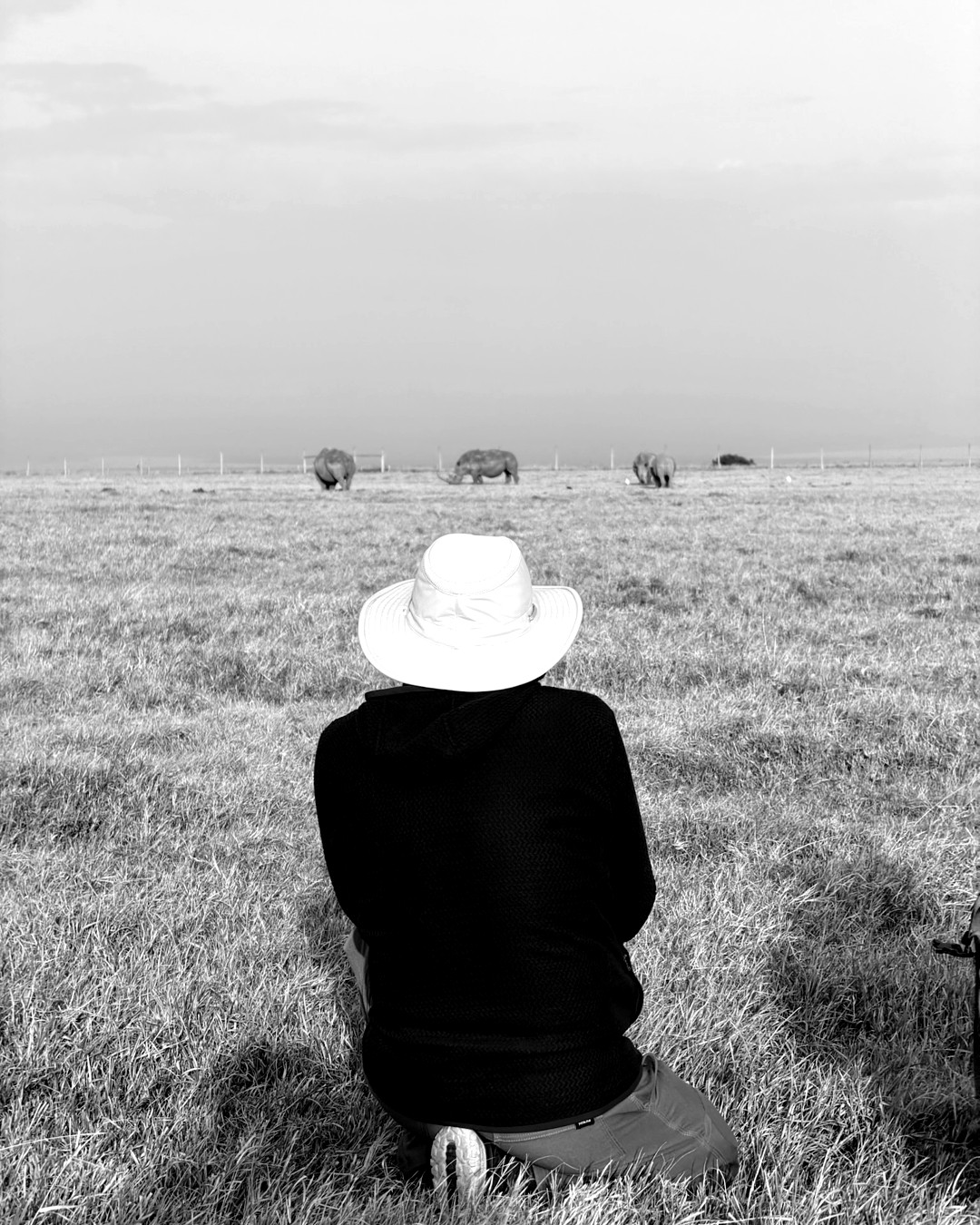 A guest on the plains at dusk